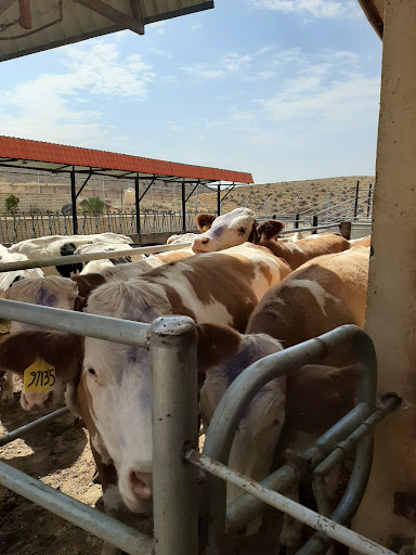 مرکز بایوفارم (پژوهشگاه ابن سینا)