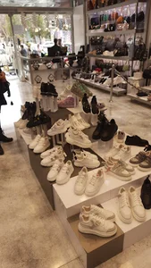 Pantea Shoes