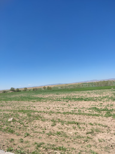 زمین کشاورزی برادران اصانلو