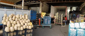 بار و امانت فروشی برادران سمندری