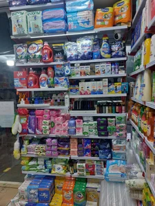 شوینده بهداشتی فردوس 4