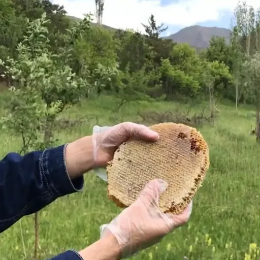 عسل فروشی میلاد بیگناه