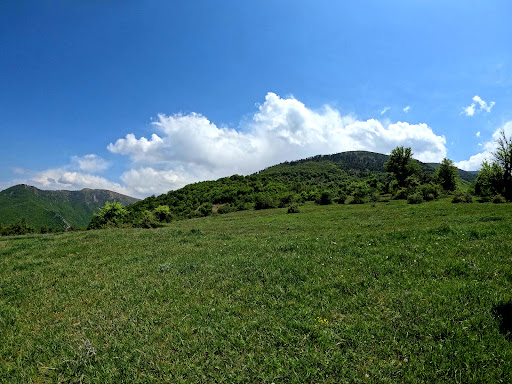 دشت قزیمان