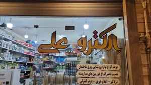الکترو علی 2