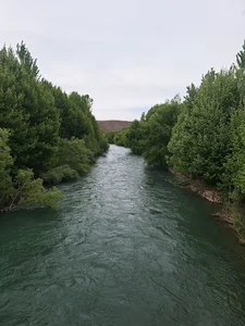 سوپرمارکت دومینو