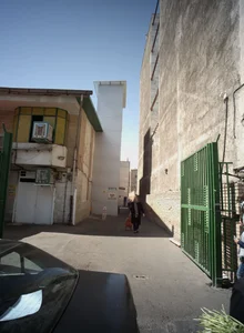 عرضه مرغ و تخم مرغ