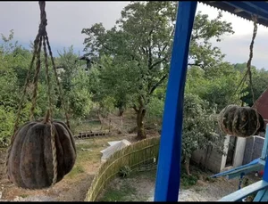بومگردی گنج رنج پدر 3