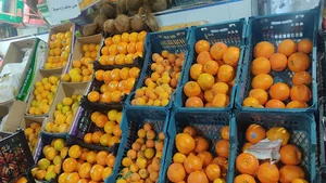 سوپر میوه نگهداری