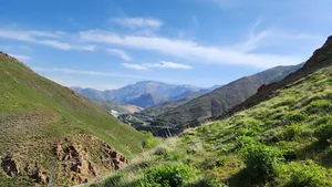 سیترا