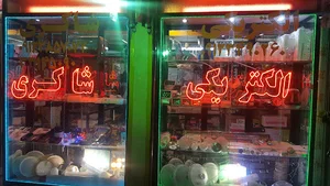 الکتریکی شاکری