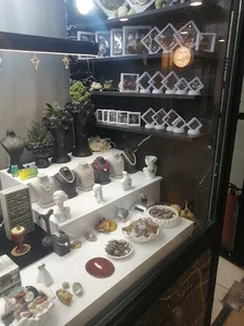 گالری سلنایت