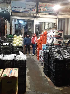 حق العمل کاری سید مهدی