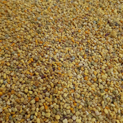 زنبورداری و تولیدی عسل آمادای(قادری)