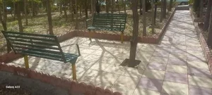 بوستان بیمارستان امیر المومنین 4