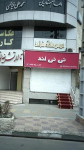 نی نی لند 2