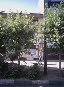 بیمه ایران شرکت خدمات بیمه ای توسعه هنر
