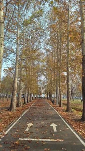 بوستان خانواده 4