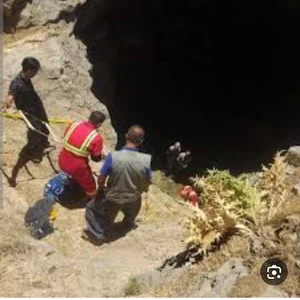 کونه کوتر