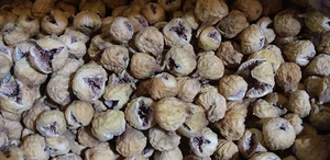 خشکبار البرز