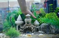 اکواریوم اذرخش