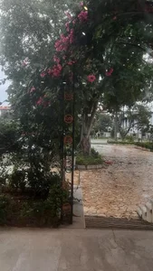 رستوران لاله نوشهر
