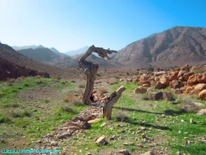 گزستان