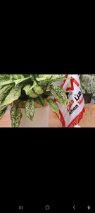 آهن ملت(توان کاوش شکیبا) 4