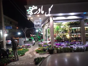 گل فروشی مادر 2