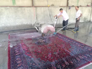 قالی شوئی البرز موسیوند دست بافت ماشینی موکت پتو