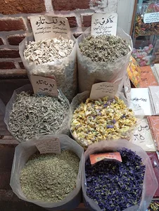 بدلیجات امین