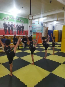 ژیمناستیک نوید