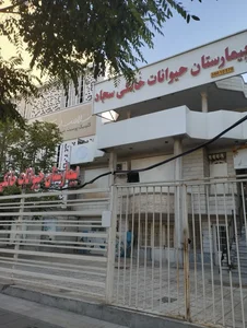 بیمارستان حیوانات خانگی سجاد 2