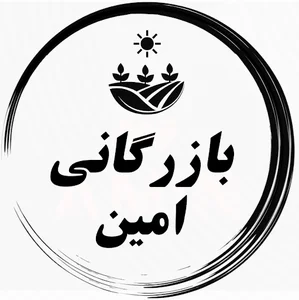 بازرگانی امین