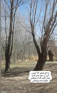 سپیدان روستای شیربابا