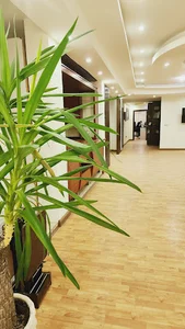 کانون تبلیغات بهشتی