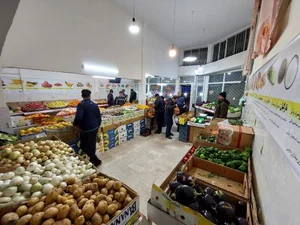 میوه فروشی برادران رضایی 2