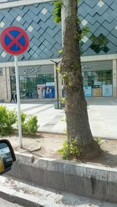 داروخانه دکتر عشایری 2