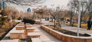 بوستان نژاد فلاح 3