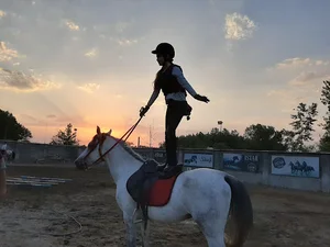 باشگاه سواركاري يورتمه