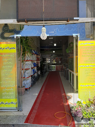 پروتئین نیکان