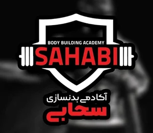 آکادمی سحابی