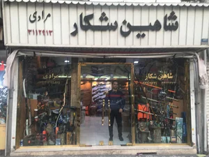 شاهین شکار