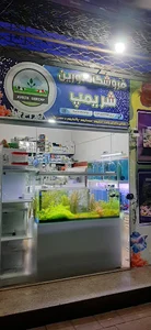 Avrinshrimpفروشگاه آکواریوم اورین شریمپ