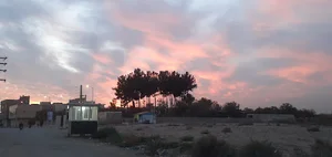 مسجد الزهرا