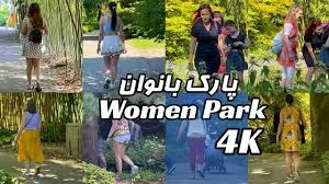 نمایندگی بیمه پاسارگاد لاهیجان کد 63882