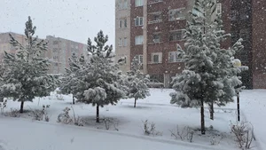 مجتمع مسکونی آسمان هشتم