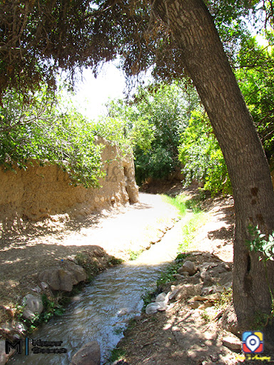 کوچه باغ های سمنان