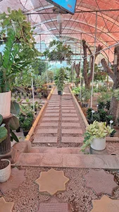 گلخانه ارمغان سبز