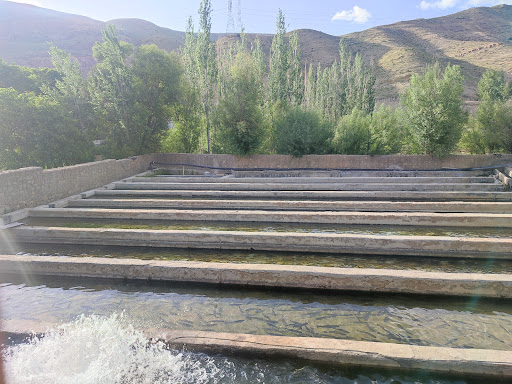 مزرعه پرورش ماهی کریمیان