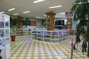 باغ طاووسیه